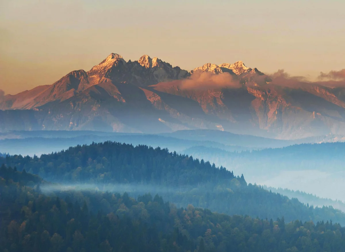 Jak raportować do BDO i KOBIZE z przyjemnością?