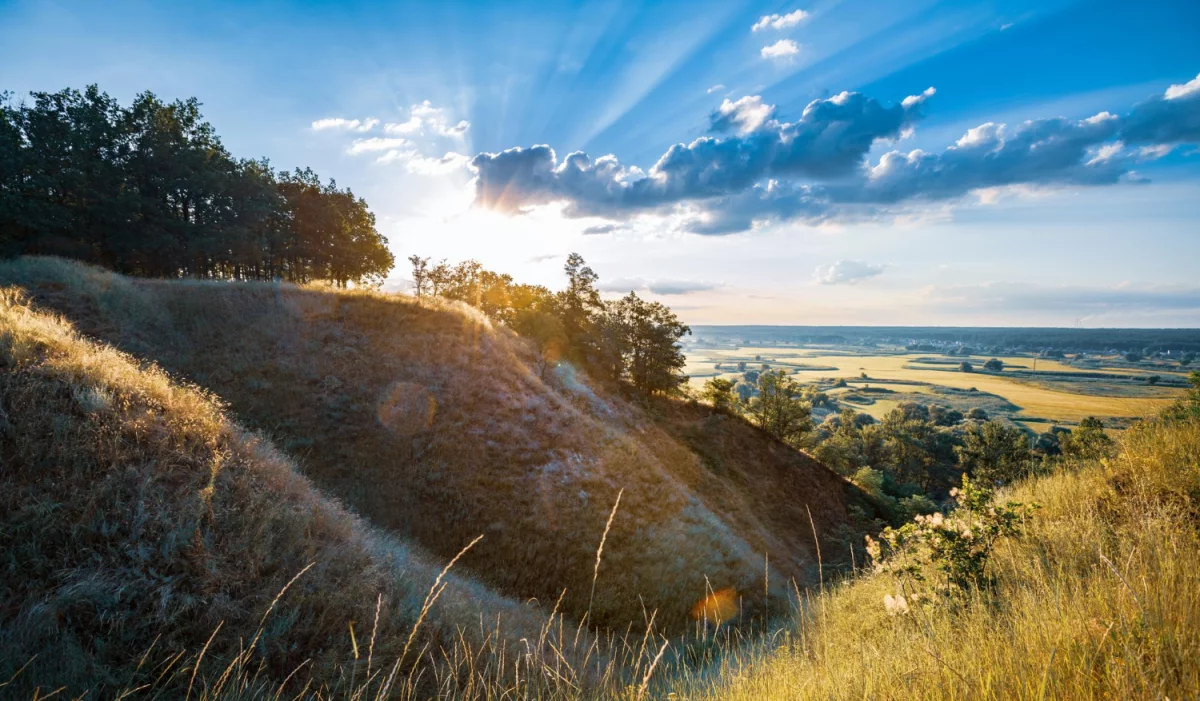 Stomatologia, a protetyka