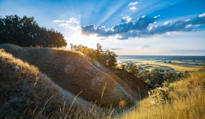 Jak zlecić outsourcing środowiskowy z przyjemnością?