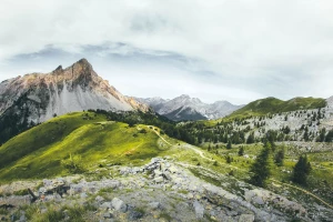 O prawnikach i sądach