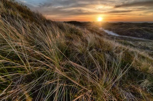 Zobacz te informacje jak wykonywać trening