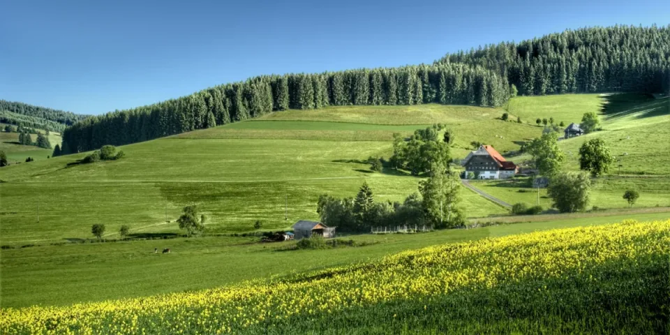 Domki nad Bałtykiem bez tajemnic: gdzie szukać plaży, jak sprawdzić widok i dojazd, oraz najlepsze miesiące na cichy wypoczynek — praktyczny przewodnik.